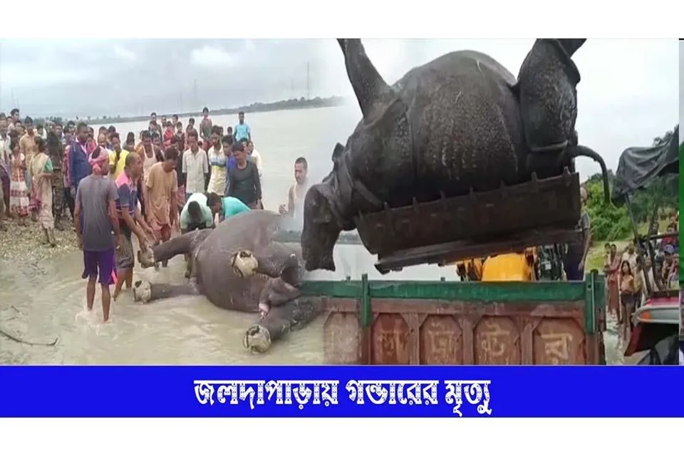 জলদাপাড়া জাতীয় উদ্যানে গণ্ডারের মৃত্যু