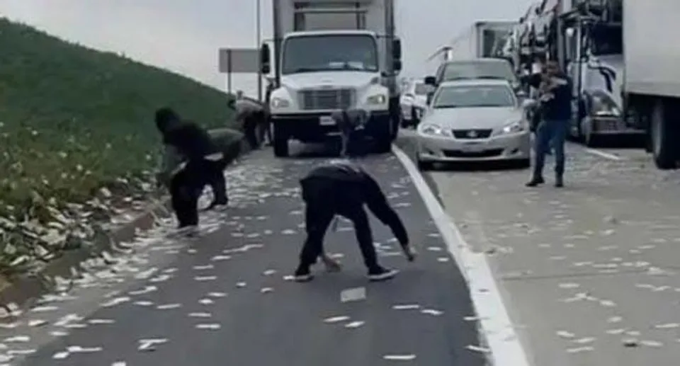 যুক্তরাষ্ট্রের রাস্তায় ছড়ানো ডলার কুড়াচ্ছেন পথচারীরা