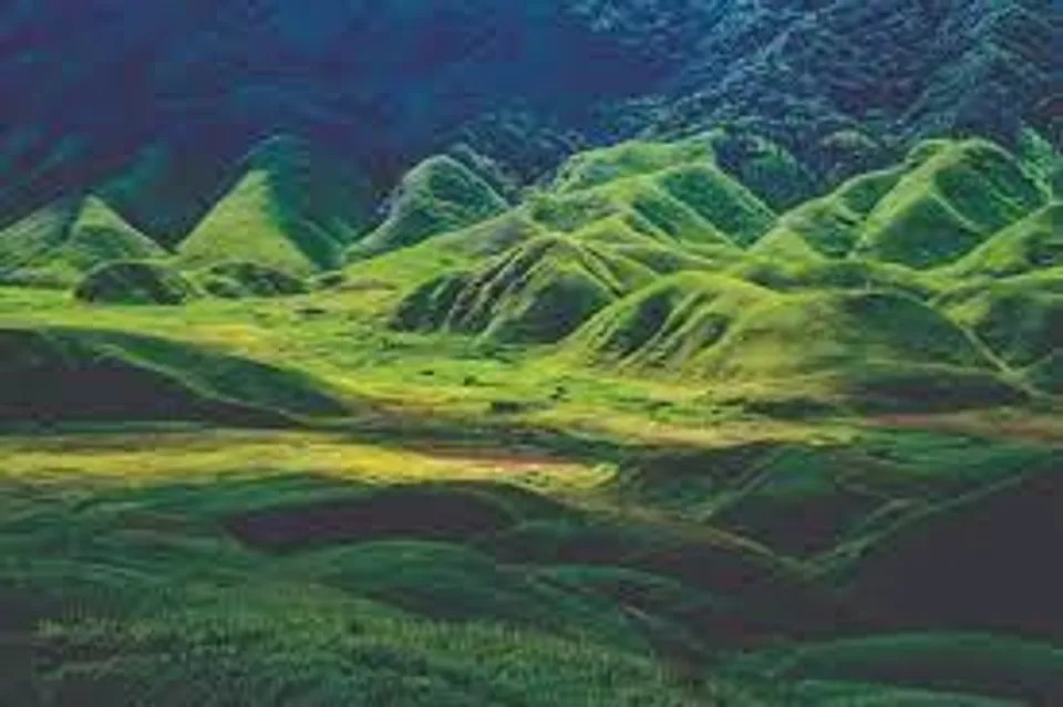 ভ্রমণে নাগাল্যান্ড