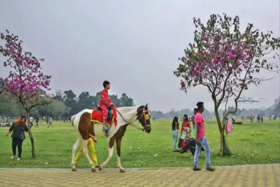 অনেকটা উঠলো কলকাতার পারদ