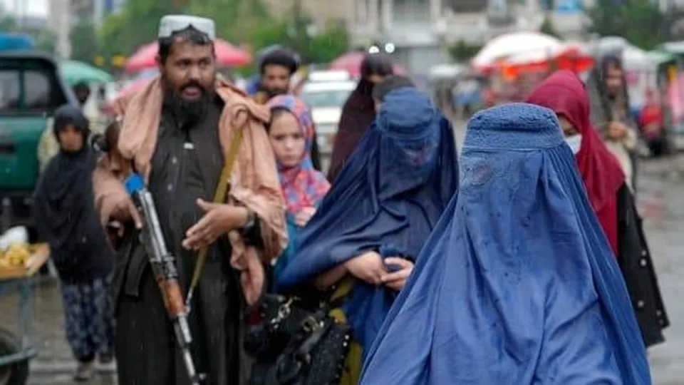 নারীদের অধিকার প্রদান করা উচিত বলে মনে করছেন তালিবান নেতা