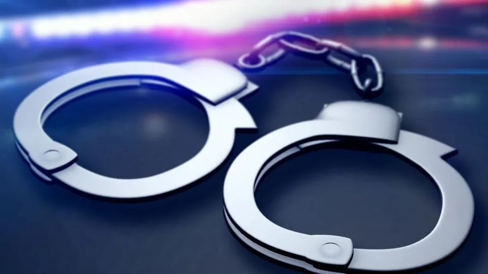 মিউজিক সিস্টেমের আড়ালে মাদক পাচার, এসটিএফের জালে দম্পতি