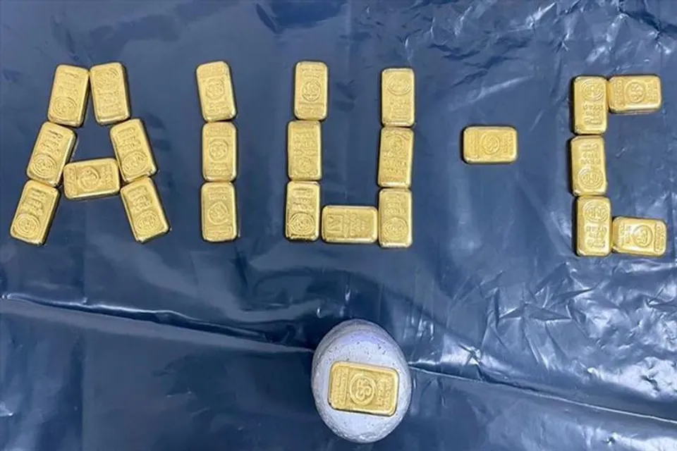 ২৪ ক্যারাট গোল্ডের ২৪টি বার সমেত আটক ২