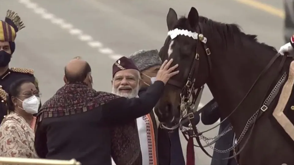 রাষ্ট্রপতির দেহরক্ষী ঘোড়া বিরাট আজ চাকরি থেকে অবসর নিল