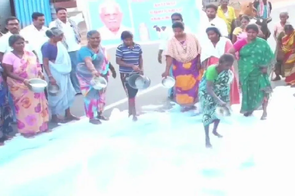 এবার রাস্তায় দুধ ঢেলে সরকারের বিরুদ্ধে বিক্ষোভ- দেখুন ভিডিও