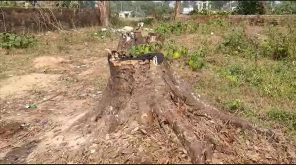 জমি মাফিয়াদের দৌড়াত্ম্যে অতিষ্ঠ স্থানীয়রা