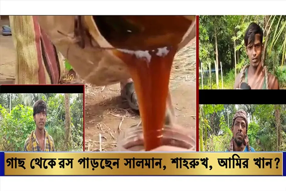 চোখের নিমেষে খেজুর গাছে উঠছেন শাহরুখ, আমির ও সালমান খান,কোন সিনেমার শুটিং না জীবনের চিত্রনাট্য