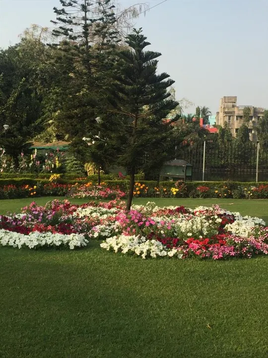 প্রকৃতিকে বাঁচাতে ছোটো এক পদক্ষেপ গ্রহণ করি