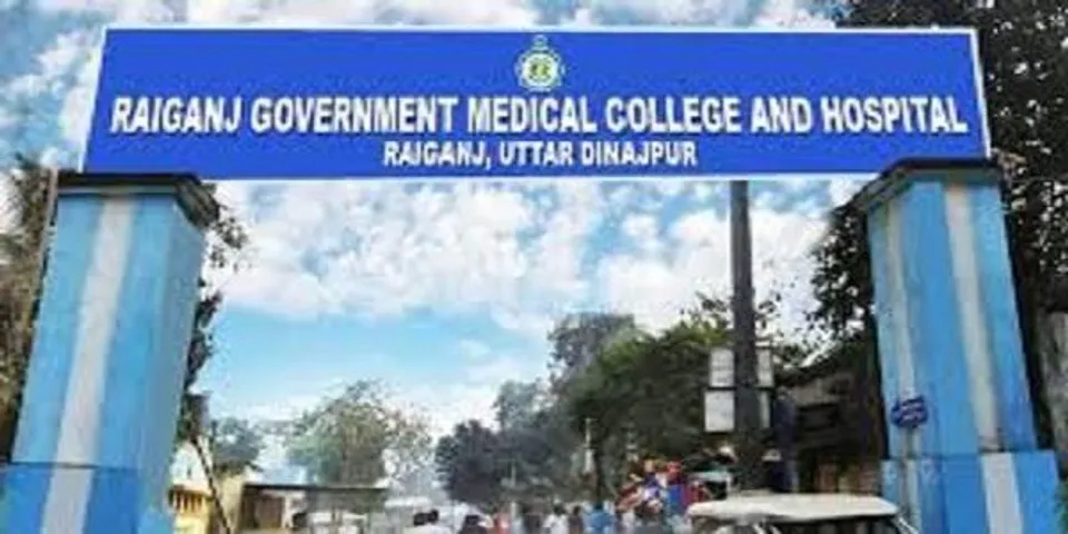 মৌমাছির কামড়ে গুরুতর জখম একই পরিবারের সাত জন