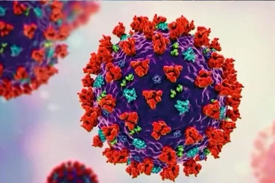 শিক্ষা প্রতিষ্ঠানগুলিতে দাপট বাড়ছে করোনার