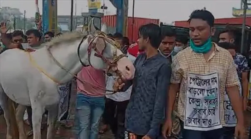 পেট্রোল-ডিজেলের দাম বৃদ্ধির প্রতিবাদে ঘোড়া নিয়ে মিছিল যুব তৃণমূলের!