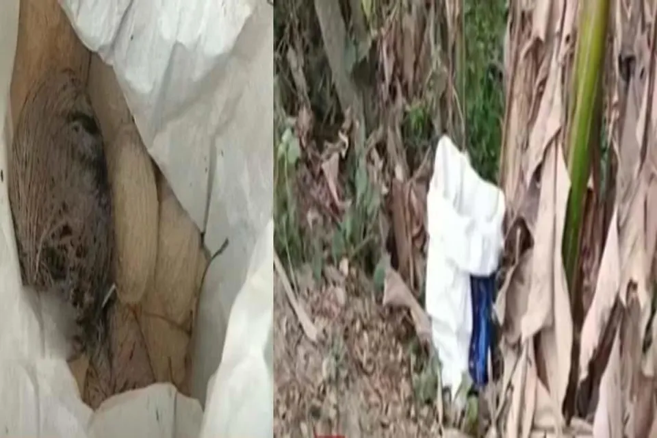 পঞ্চায়েত ভোটের আগে আবারও বস্তাভর্তি বোমা উদ্ধার ভাঙরে