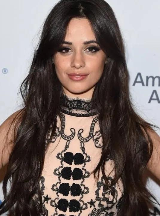 নিজের ফ্যাশন স্টাইলে ভক্তদের নতুন ঝলক দিলেন ক্যামিলা ক্যাবেলো