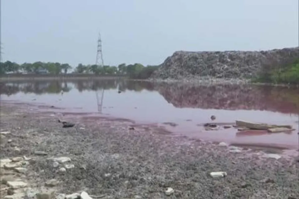 বদলে গেল তামিলনাড়ুর হ্রদের জলের রঙ, হল গোলাপি