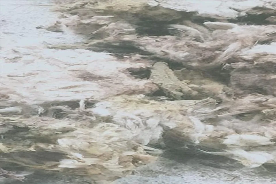 মাটির বাড়ি ভাঙতে গিয়ে ঘটলো বোমা বিস্ফোরণ