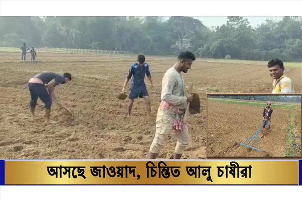 সিঁদুরে মেঘ, মাথায় চিন্তার হাত আলু চাষীদের