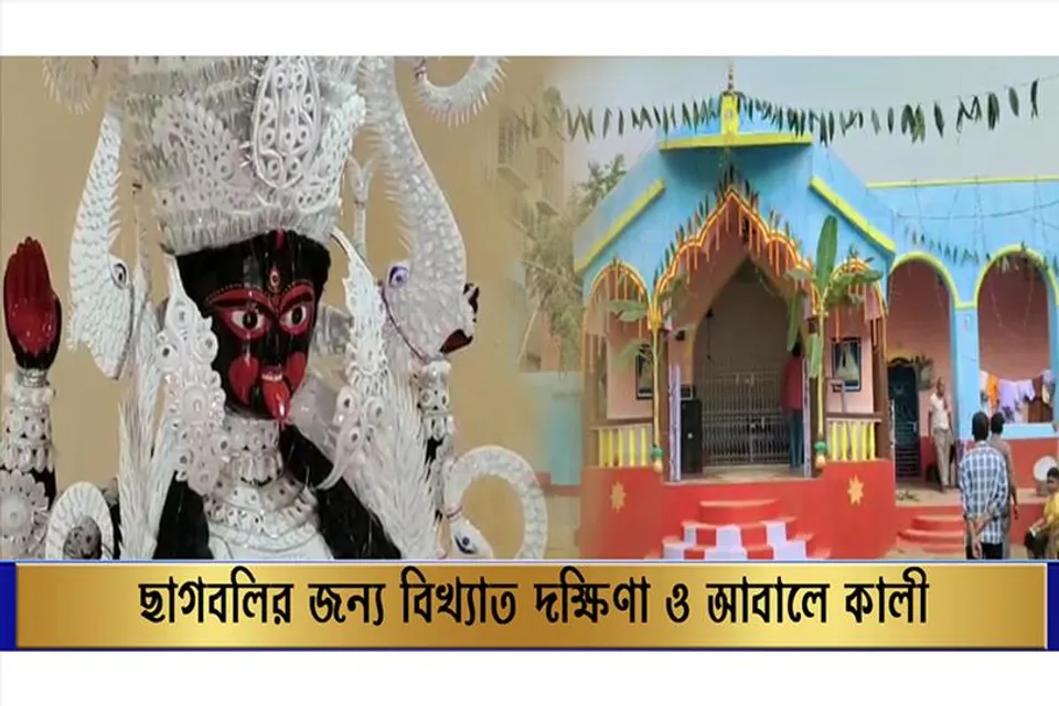 ছাগ বলির জন্য বিখ্যাত দক্ষিণা ও আবালে কালী