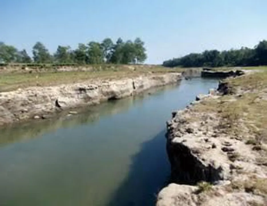 পুজোর ফুল ফেলতে গিয়ে নিখোঁজ বৃদ্ধ