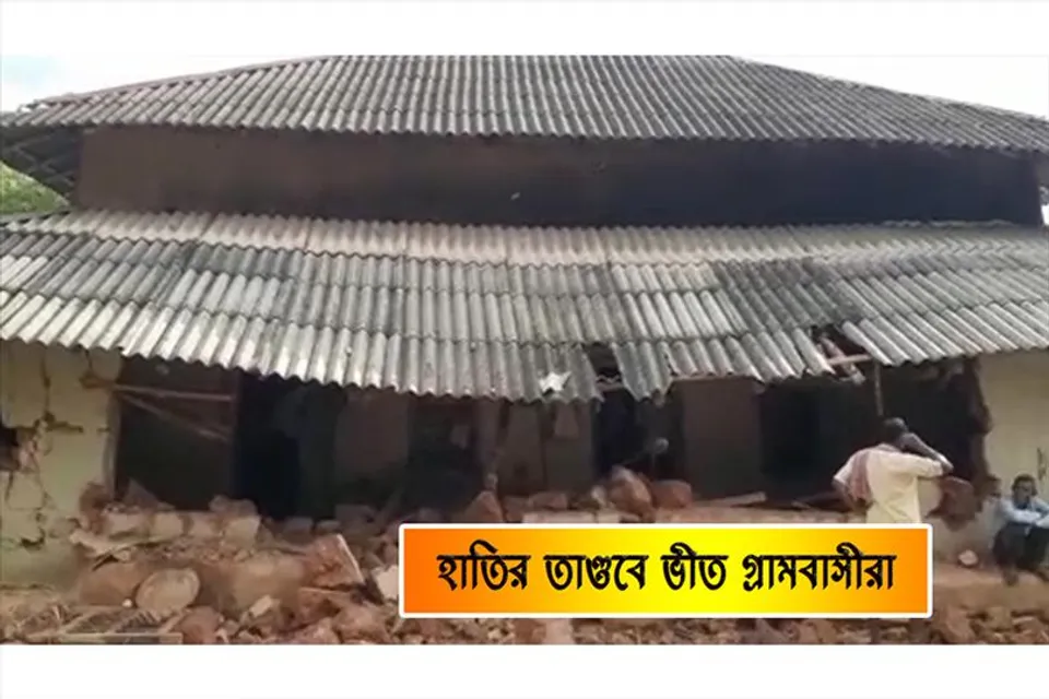 হাতির তাণ্ডবে ভীত গ্রামবাসীরা