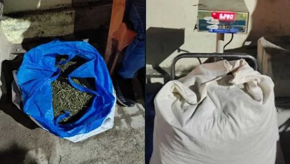 কনকনগরে ৬ কেজি গাঁজা বাজেয়াপ্ত