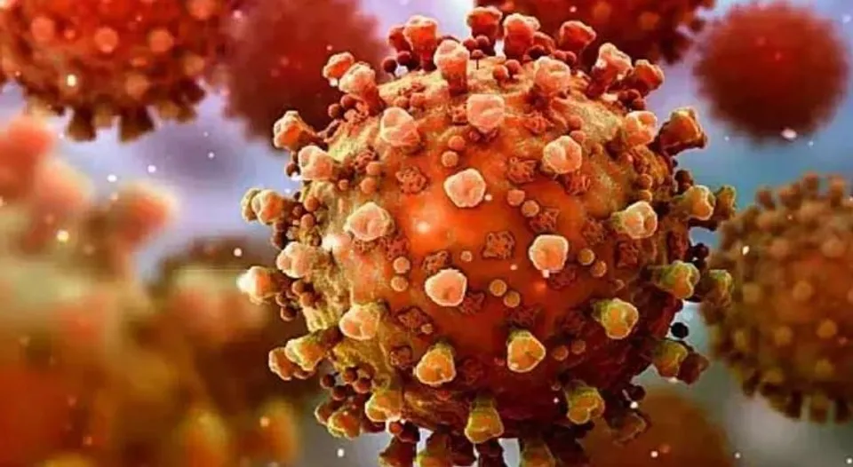 পুজোর মুখে একধাক্কায় অনেকটা কমল রাজ্যের দৈনিক করোনা সংক্রমণ