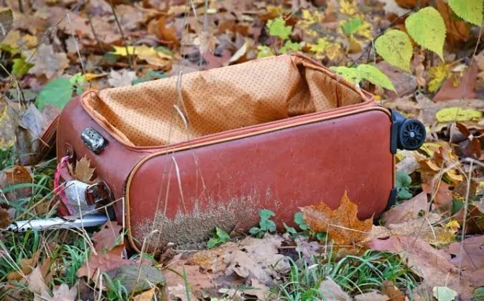 নিউজিল্যান্ড: স্যুটকেসে উদ্ধার দুই শিশুর দেহাবশেষ