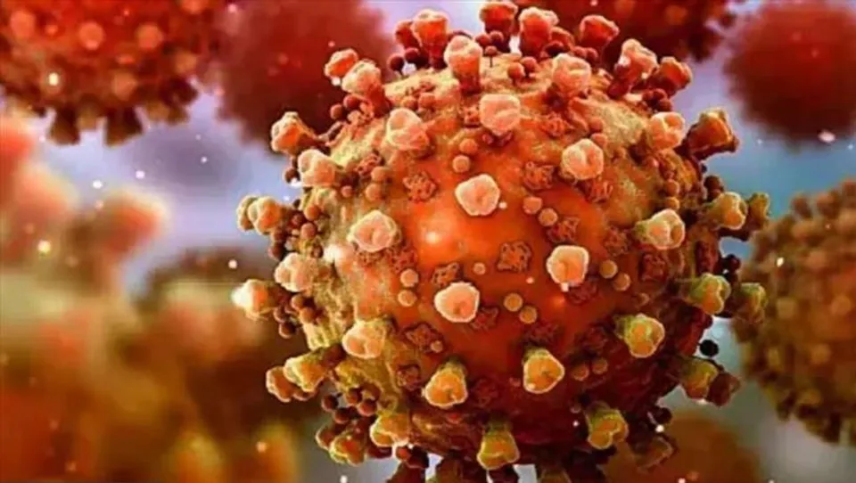 গত ২৪ ঘণ্টায় রাজ্যে করোনা আক্রান্ত ২৯৬২, মৃত ৪