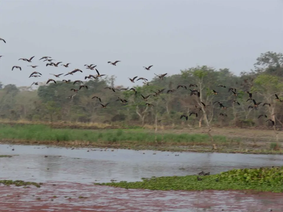 জাতীয় মানচিত্রে থাকা নারারথলি ঝিলকে নিয়ে একগুচ্ছ পরিকল্পনা