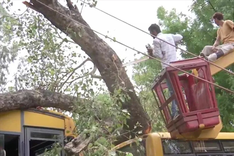 পড়ুয়াদের ওপর উপড়ে পড়লো গাছ, নিহত ১, জখম ২০