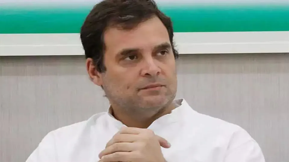 জখম হস্তি শাবকটির জন্য মুখ্যমন্ত্রীর দ্বারস্থ রাহুল