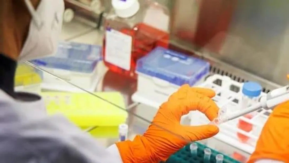 মাঙ্কিপক্স রোগীদের পোষা ইঁদুর থেকে দূরে থাকার সতর্কতা যুক্তরাজ্যের বিশেষজ্ঞদের