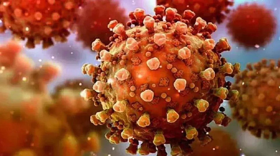 বিশ্বকে নতুন করে সতর্ক করল বিশ্ব স্বাস্থ্য সংস্থা