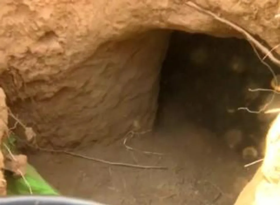 জম্মুর সাম্বা জেলায় গোপন সুড়ঙ্গের হদিশ!