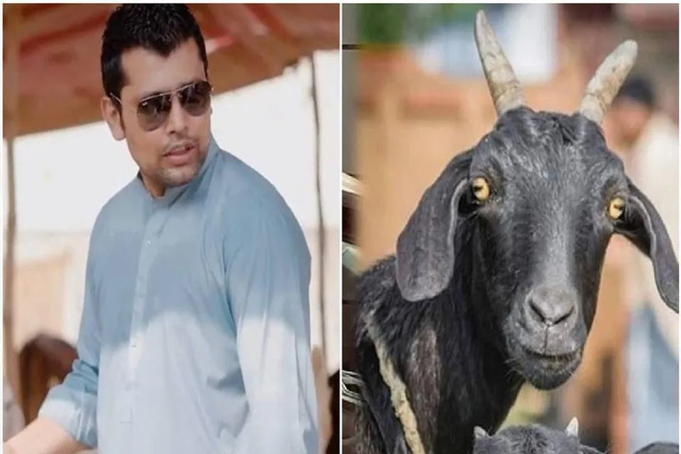 তারকা ক্রিকেটারের বাড়ি থেকে চুরি গেল ছাগল