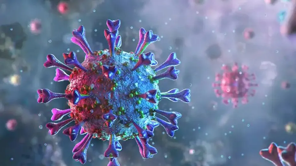 পশ্চিমবঙ্গে কমছে করোনার মৃত্যুর সংখ্যা