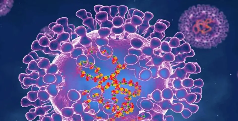 ‘মাঙ্কিপক্স’ মোকাবিলায় ২১ দিনের বাধ্যতামূলক কোয়ারেন্টাইন বিধি জারি করল বেলজিয়াম