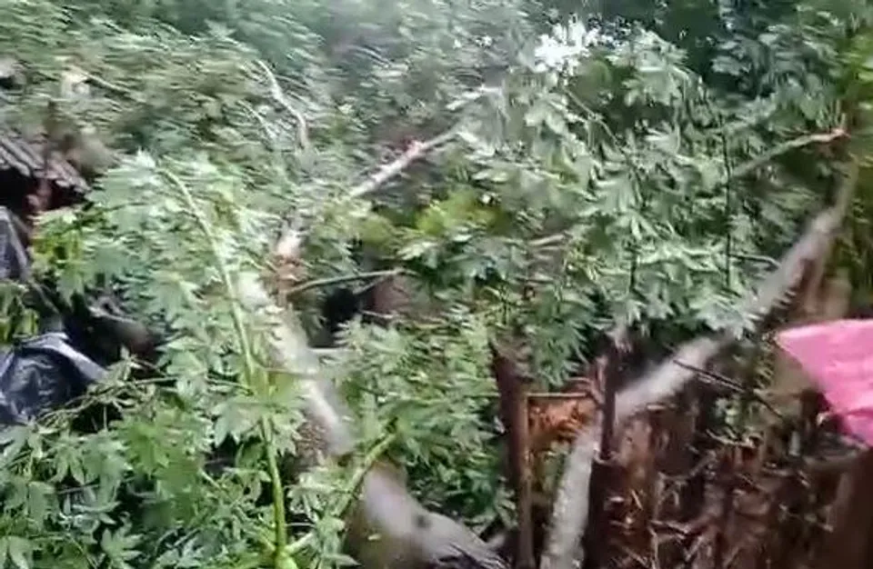 বৃষ্টির জেরে দুর্ঘটনা