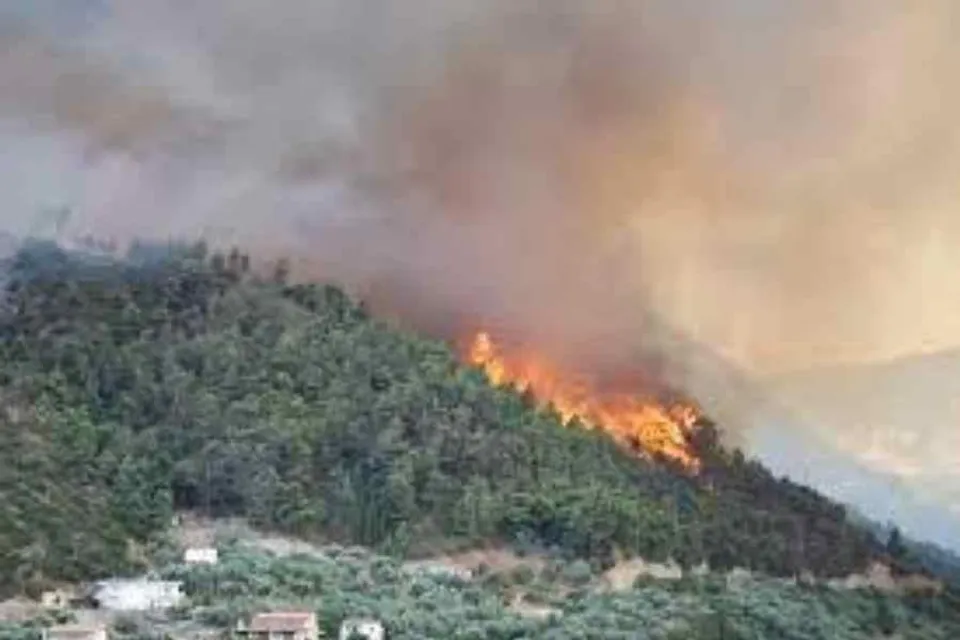 দাউদাউ করে জ্বলছে আগুন, দেখুন ভয়ানক ভিডিও