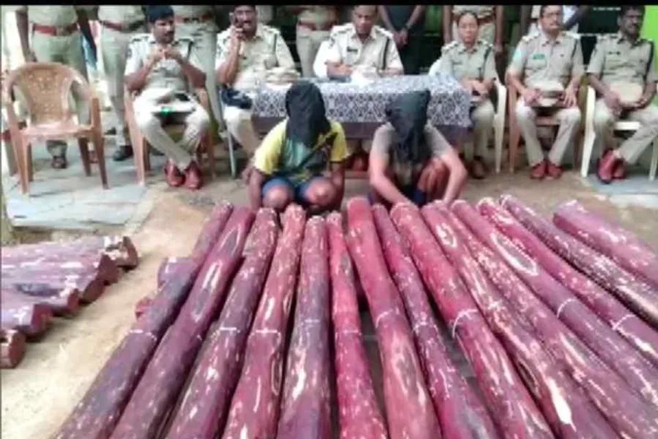 চন্দন পাচারকারীদের আটক