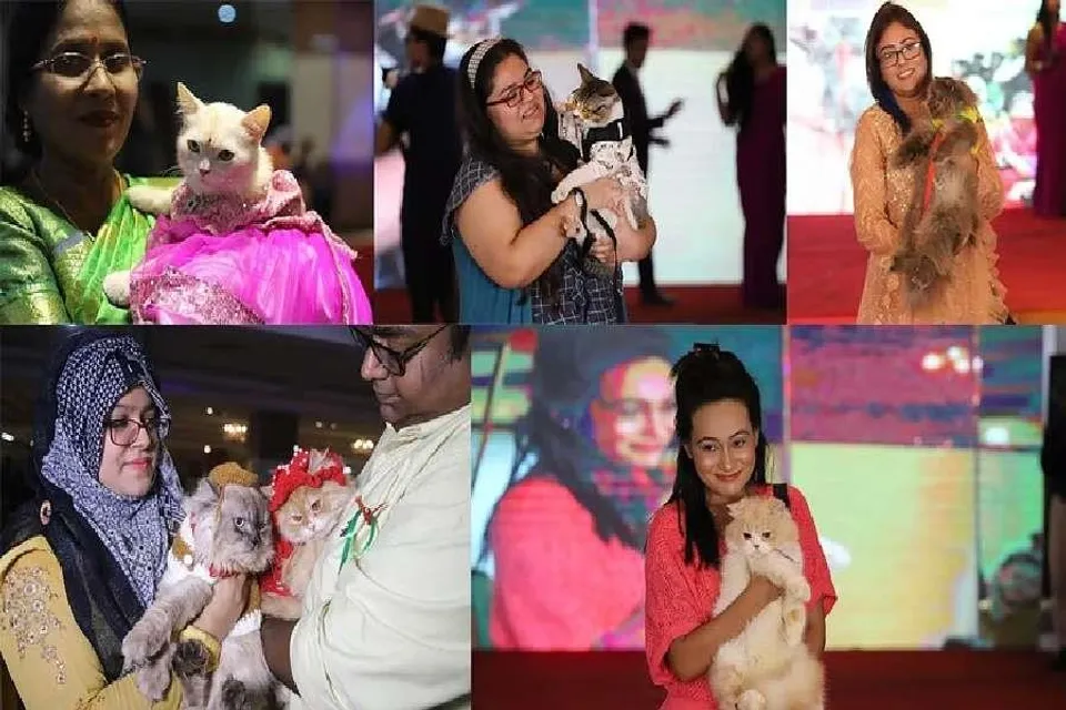 বাংলাদেশে অনুষ্ঠিত হল বিড়ালের র‍্যাম্প শো