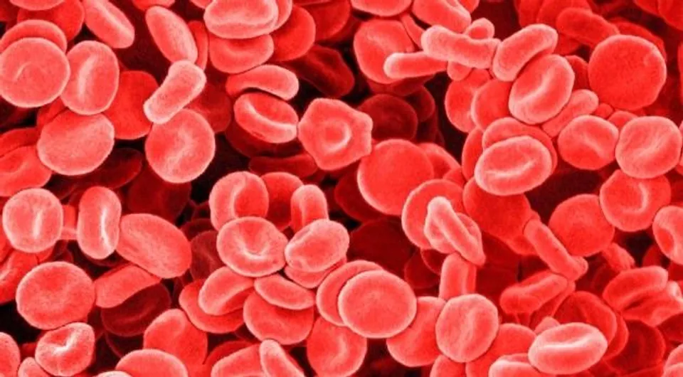 খনিজ পদার্থ ক্ষতিগ্রস্ত টিস্যু নিরাময়ের চাবিকাঠি