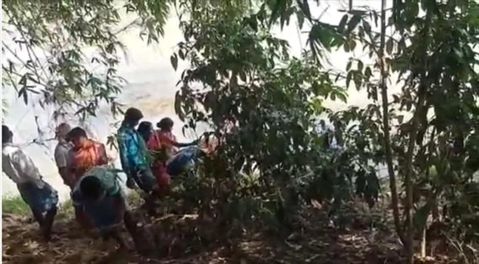 ভাঙন ঠেকাতে 'ভেটিভার ঘাস' লাগানোর উদ্যোগ ব্লক প্রশাসনের