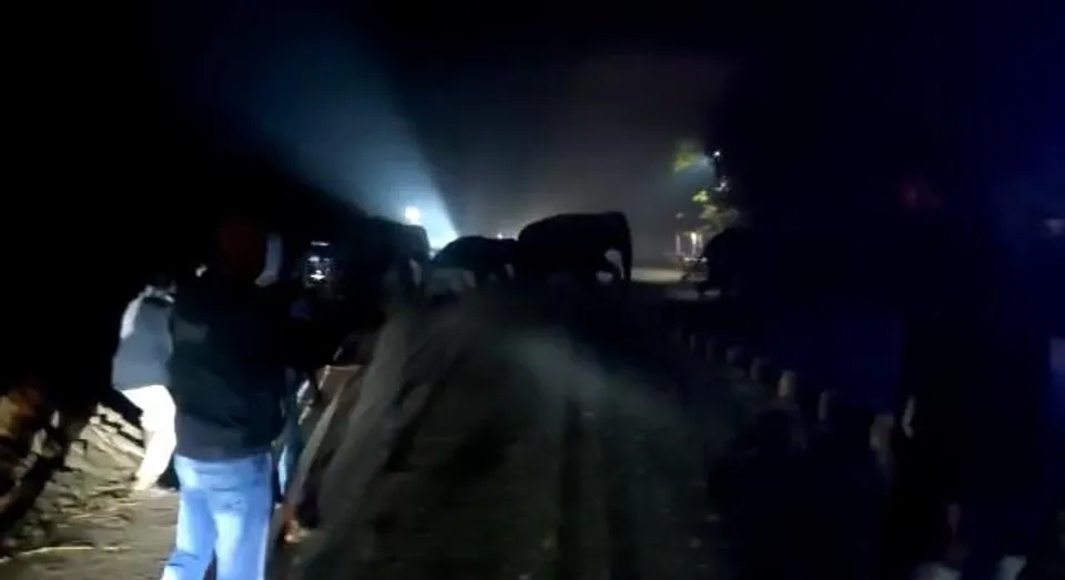 শীতের শুরুতেই দেখা গজরাজের!