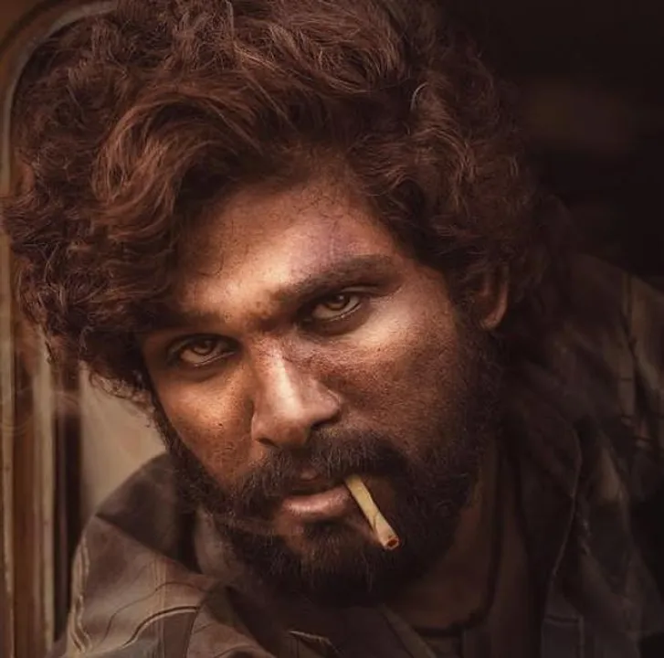 পান মশলার পরে মদের ব্র্যান্ডের প্রচারের চুক্তি প্রত্যাখ্যান করলেন অল্লু অর্জুন