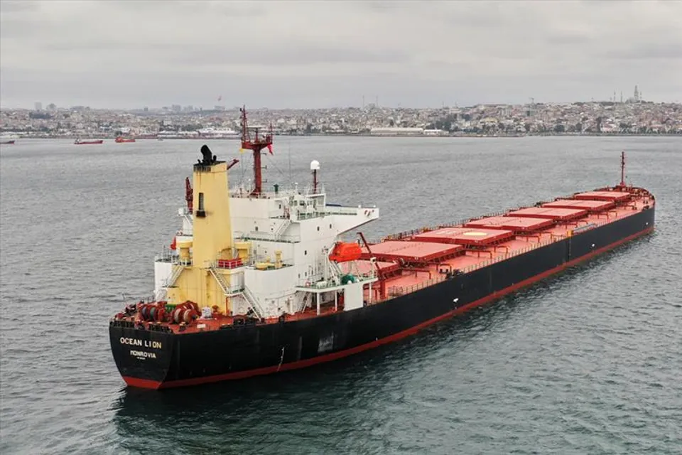 শস্য বহনকারী আরও দুটি পণ্যবাহী জাহাজ রওনা হয়েছে ইউক্রেন থেকে