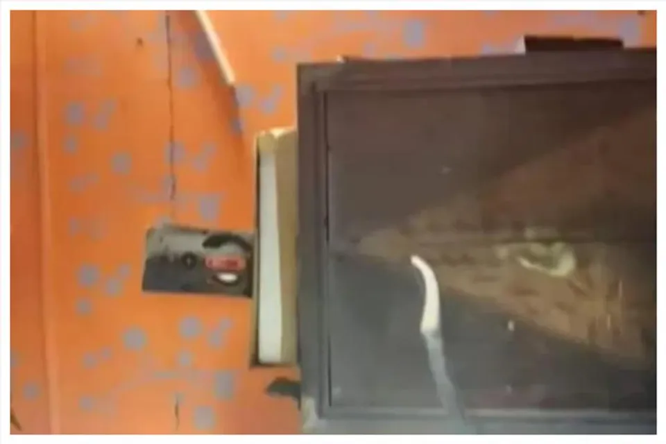 এলইডি টিভি বিস্ফোরণে আহত দুই