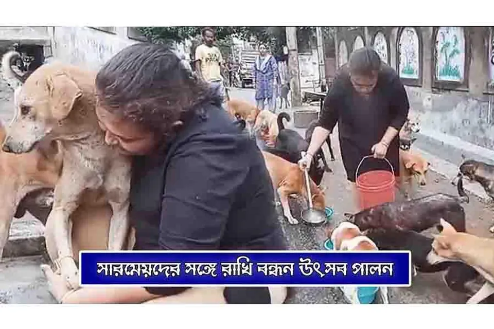 সারমেয়দের সঙ্গে রাখী বন্ধন উৎসব পালন