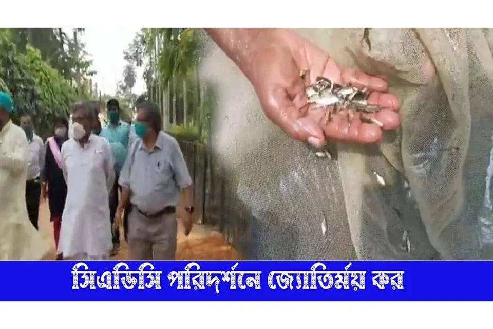 আচমকা CADC পরিদর্শনে এলেন জ্যোতির্ময় কর