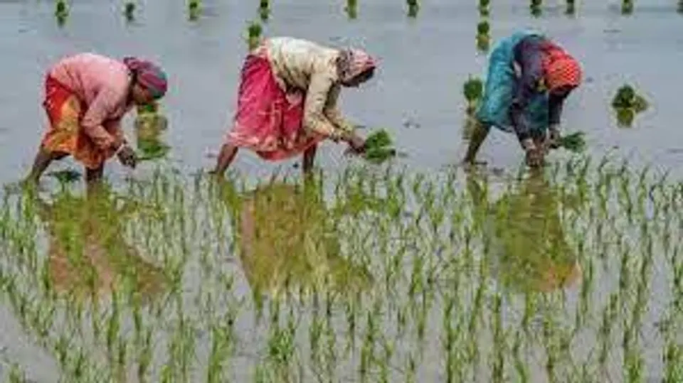 ASRB Recruitment 2021:  ৩ অক্টোবর পরীক্ষা, আবেদন করুন এখনই