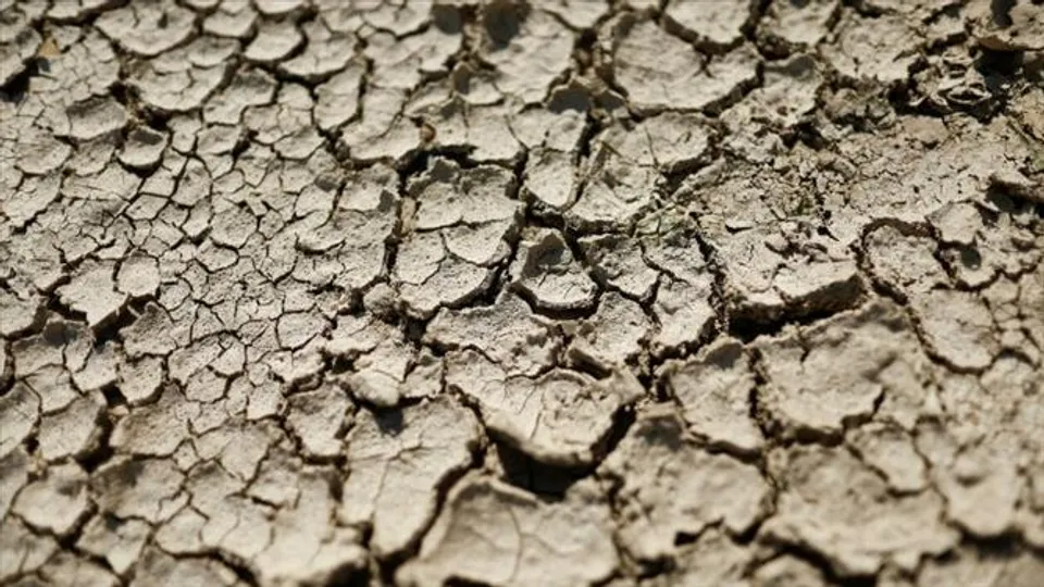 গত পাঁচশো বছরে এমন ভয়াবহ খরা দেখেনি ইউরোপঃ ইইউ